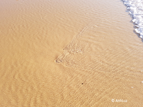 photo abstraite d'une onde sur le sable